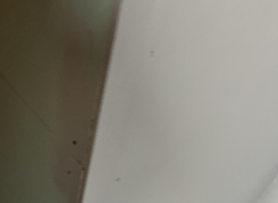 img_2784.jpeg